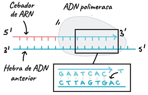 Adn-368 Vk. Adn-150